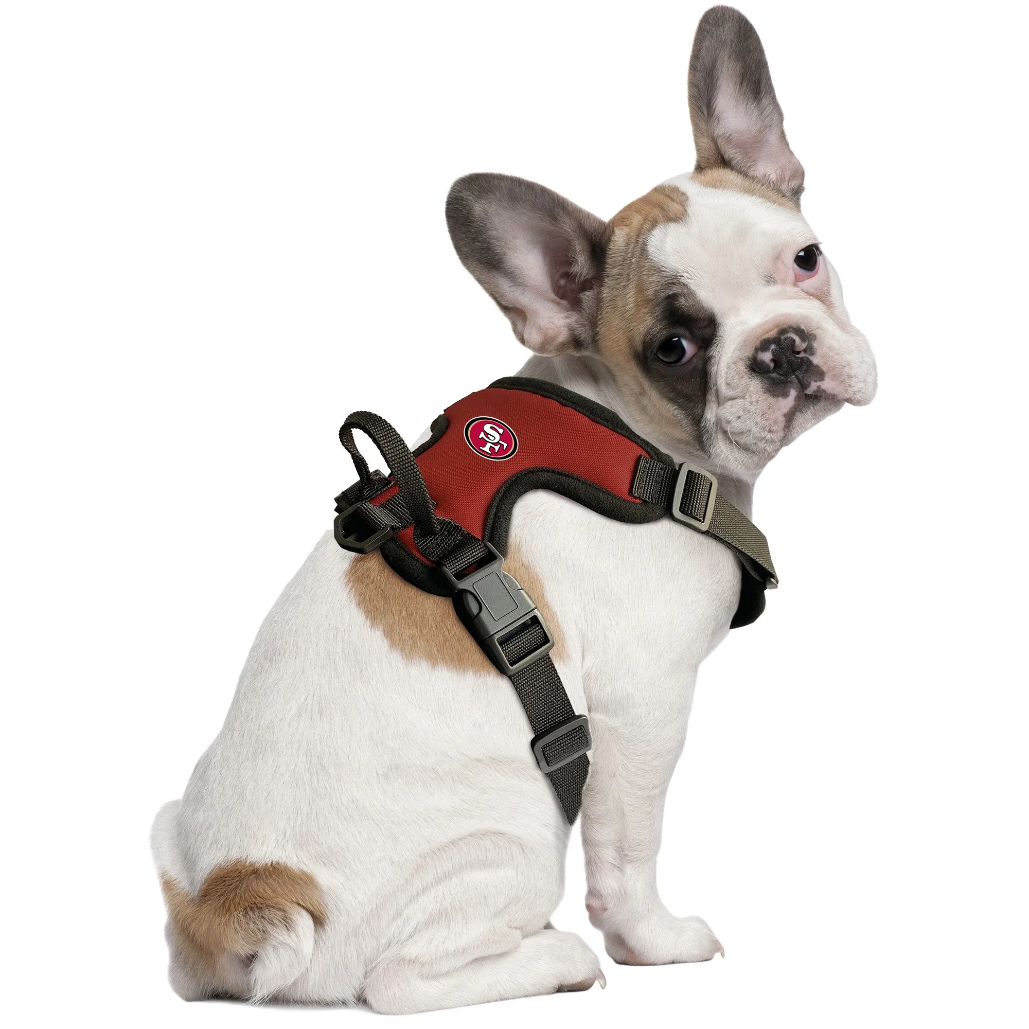 Arizona Cardinals Front Clip Pet Harness