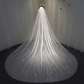 Aukmla Sparkle Cathedral Wedding Veil Long Glitter Bridal Veils with Comb for Women and Brides