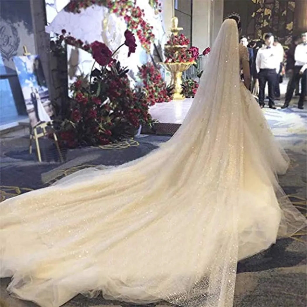 Aukmla Sparkle Cathedral Wedding Veil Long Glitter Bridal Veils with Comb for Women and Brides