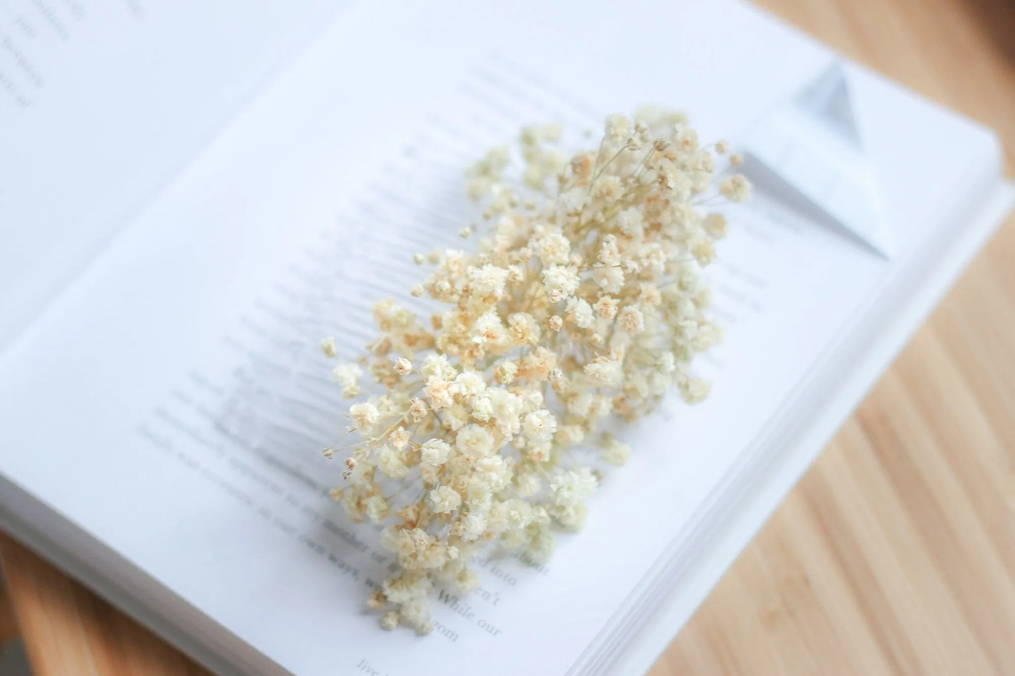 Baby's breath flower comb, hair comb, Baby's Breath hair slides, Gypsophila Bridal Comb, Dried Flowers, Boho weddings