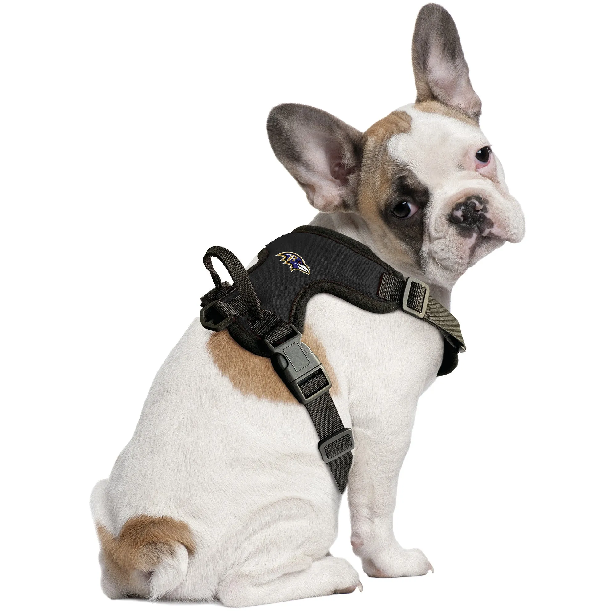 Baltimore Ravens Front Clip Pet Harness