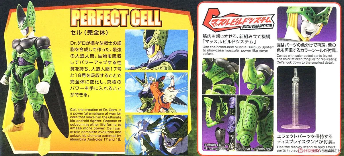 Bandai Figure-rise Standard Cell (Plastic model)