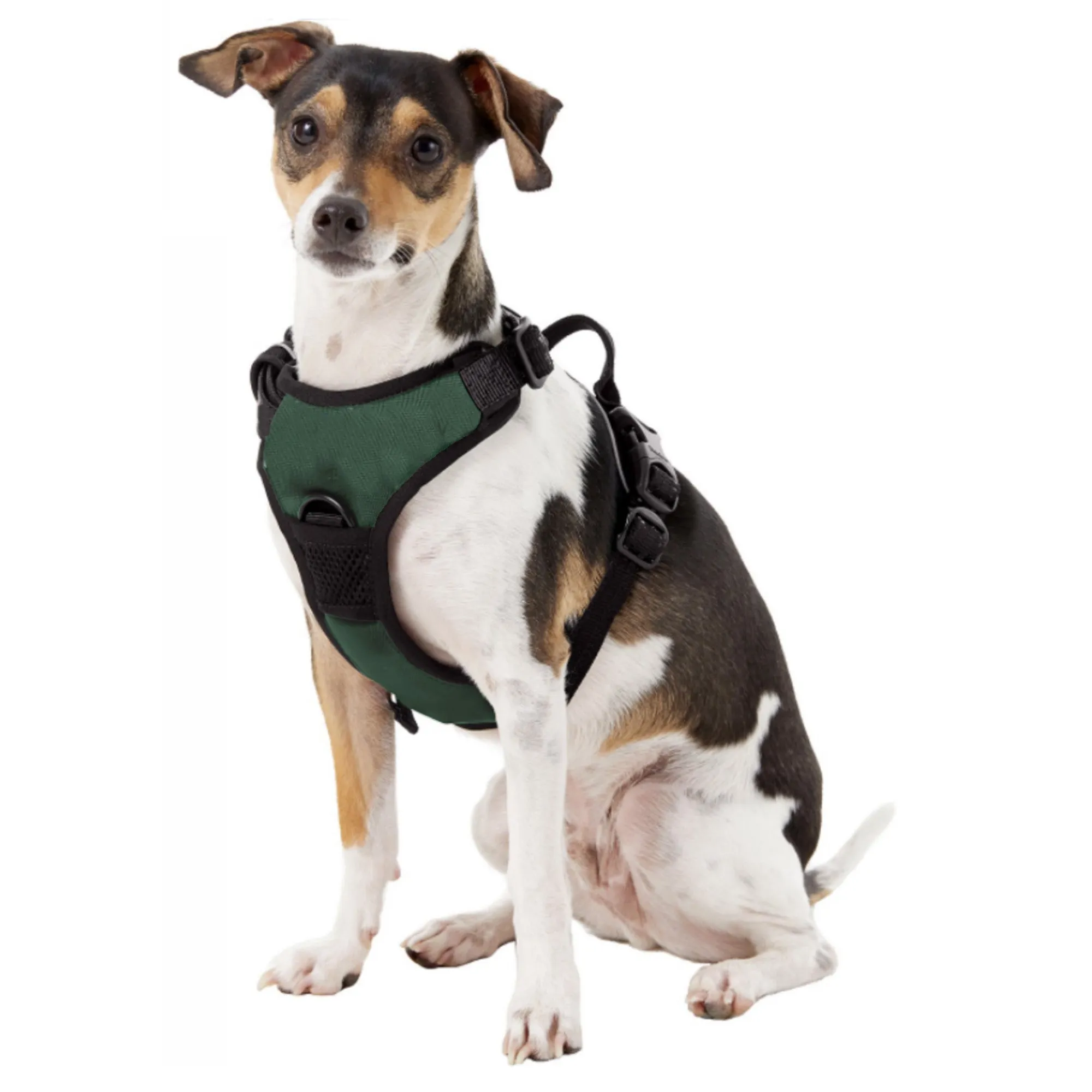 Baylor University Front Clip Pet Harness
