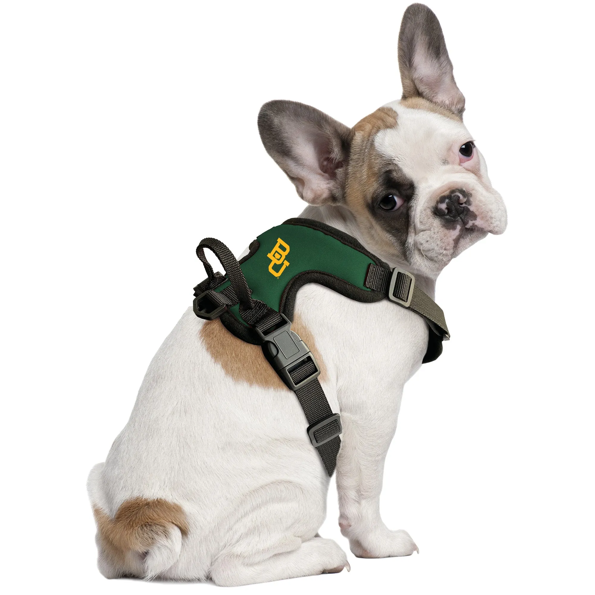 Baylor University Front Clip Pet Harness