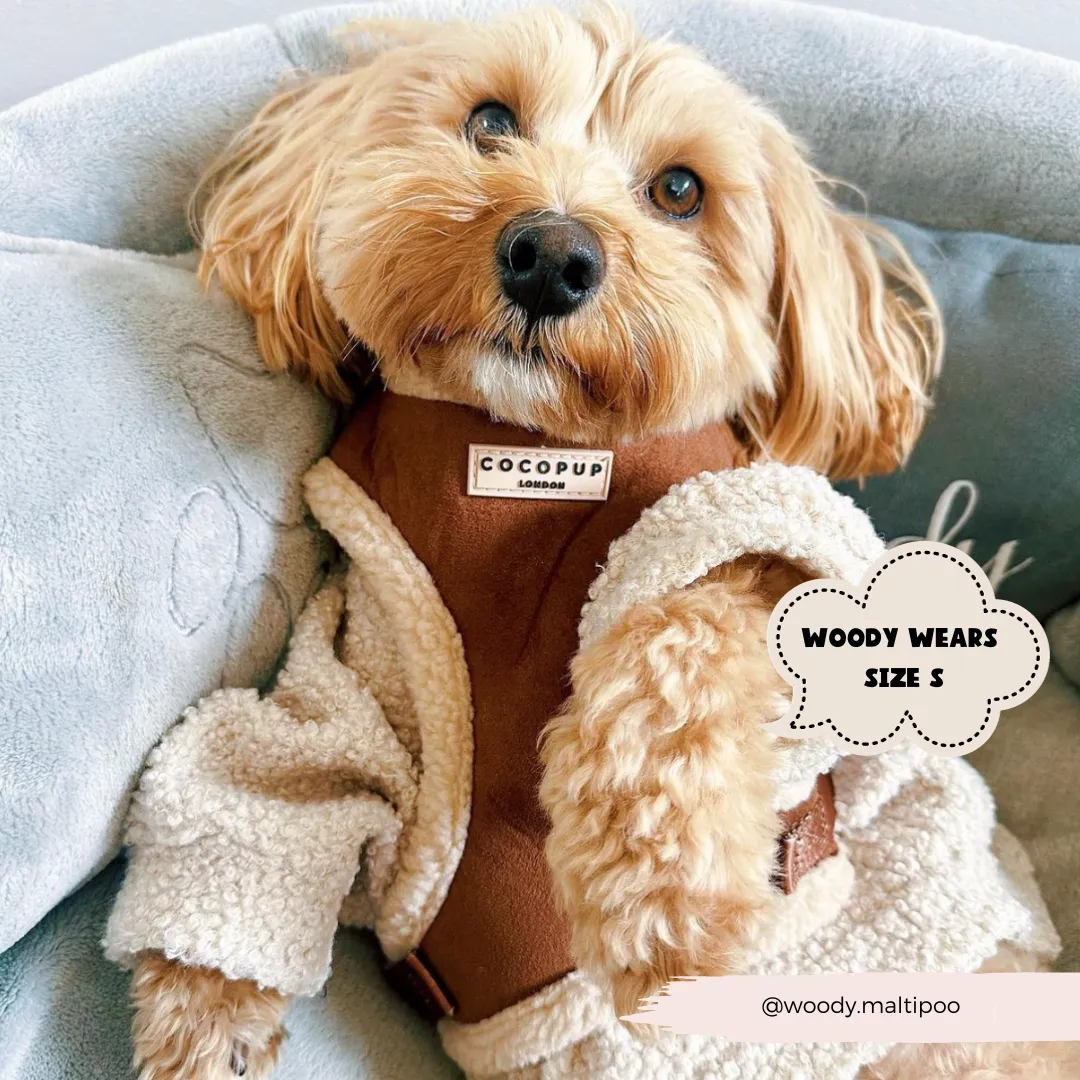 Brown Aviator Adjustable Neck Harness