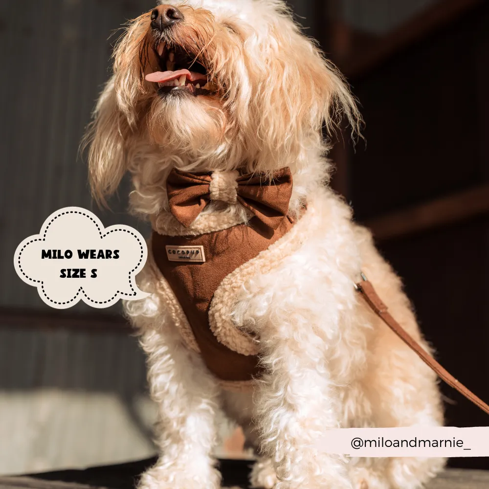 Brown Aviator Adjustable Neck Harness