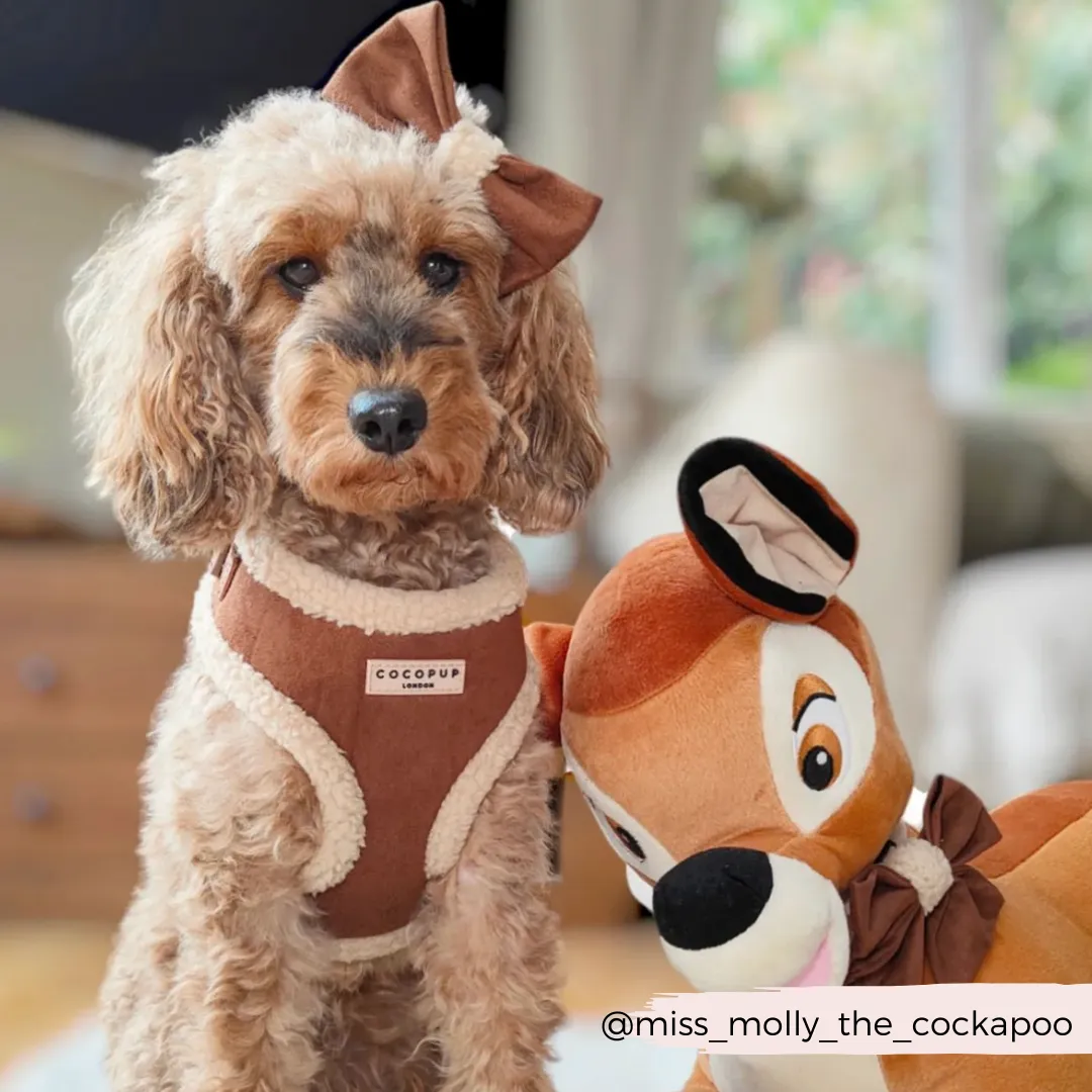 Brown Aviator Adjustable Neck Harness