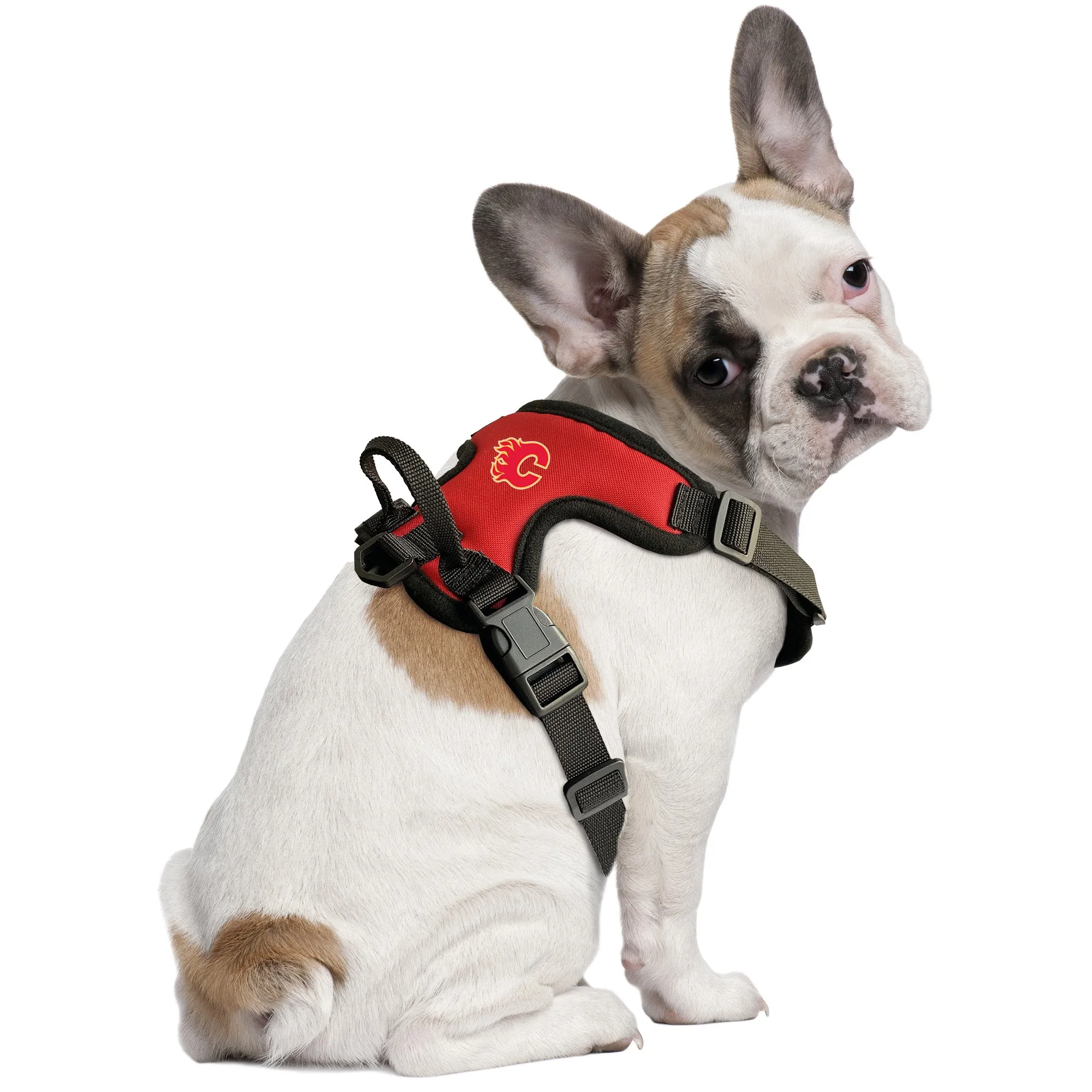 Calgary Flames Front Clip Pet Harness
