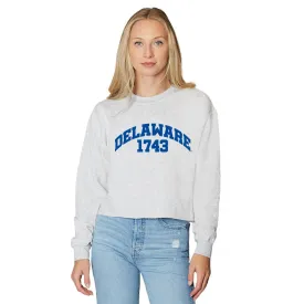 Delaware Established Crewneck