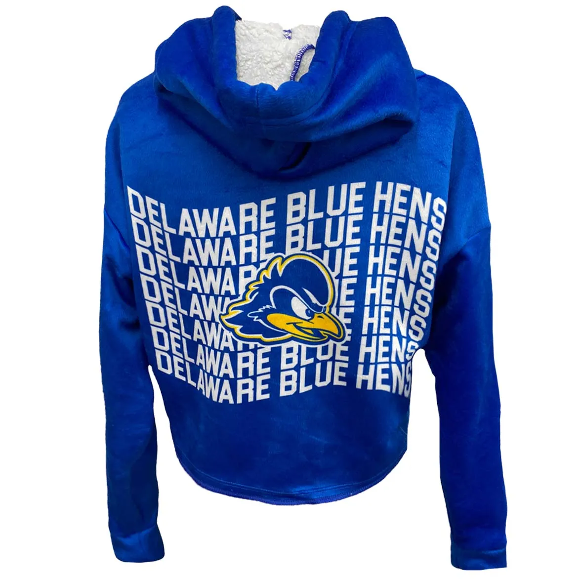 Delaware Varsity Furry Hoodie