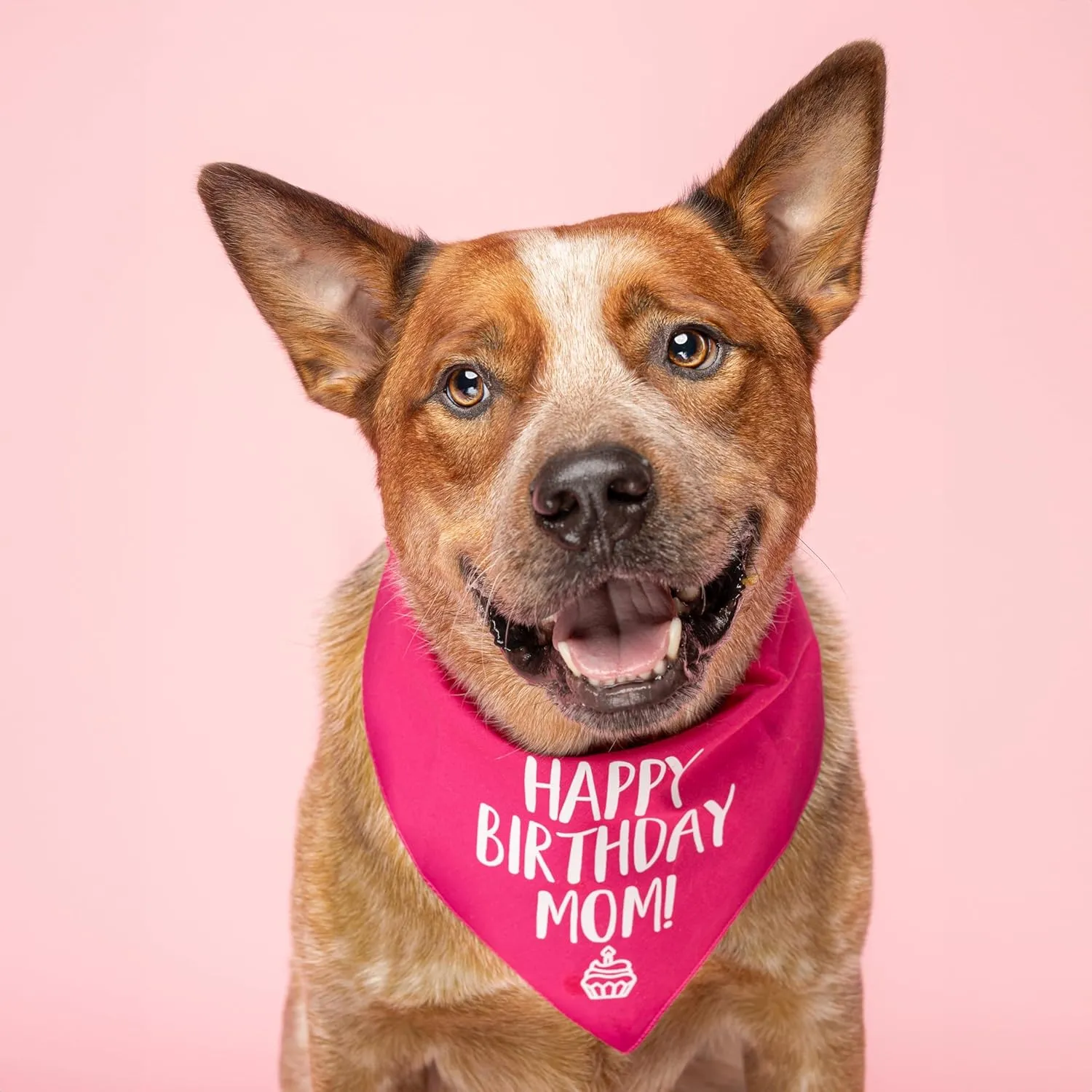 Happy Birthday Mom! Dog Bandana (Hot Pink, OS 168)