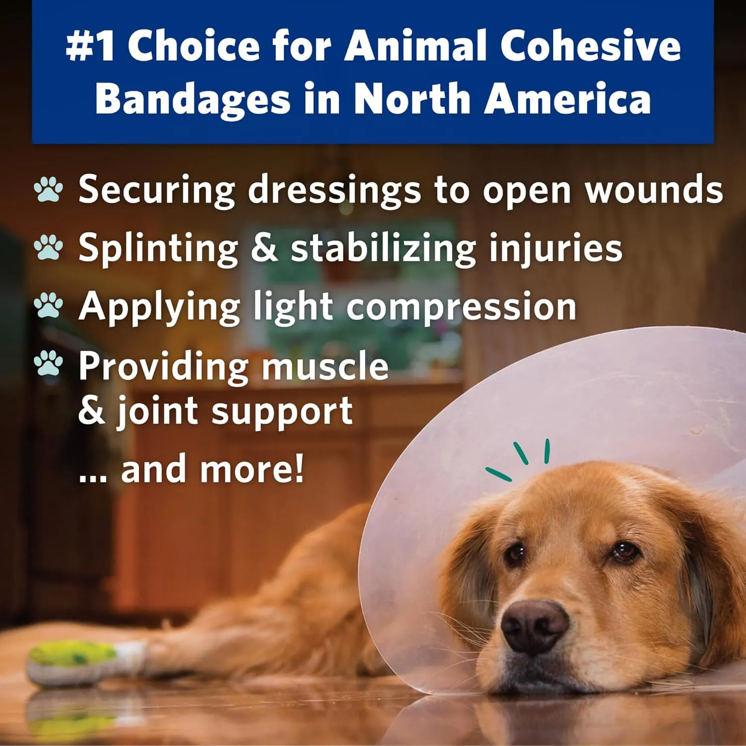 PetFlex Paw Pack  Flexible Self-Adhering Elastic Bandage for Wound Care  First Aid Wrap for Small Animals Like Dogs, Cats, and Other Pets - 2 inch, 2 Rolls