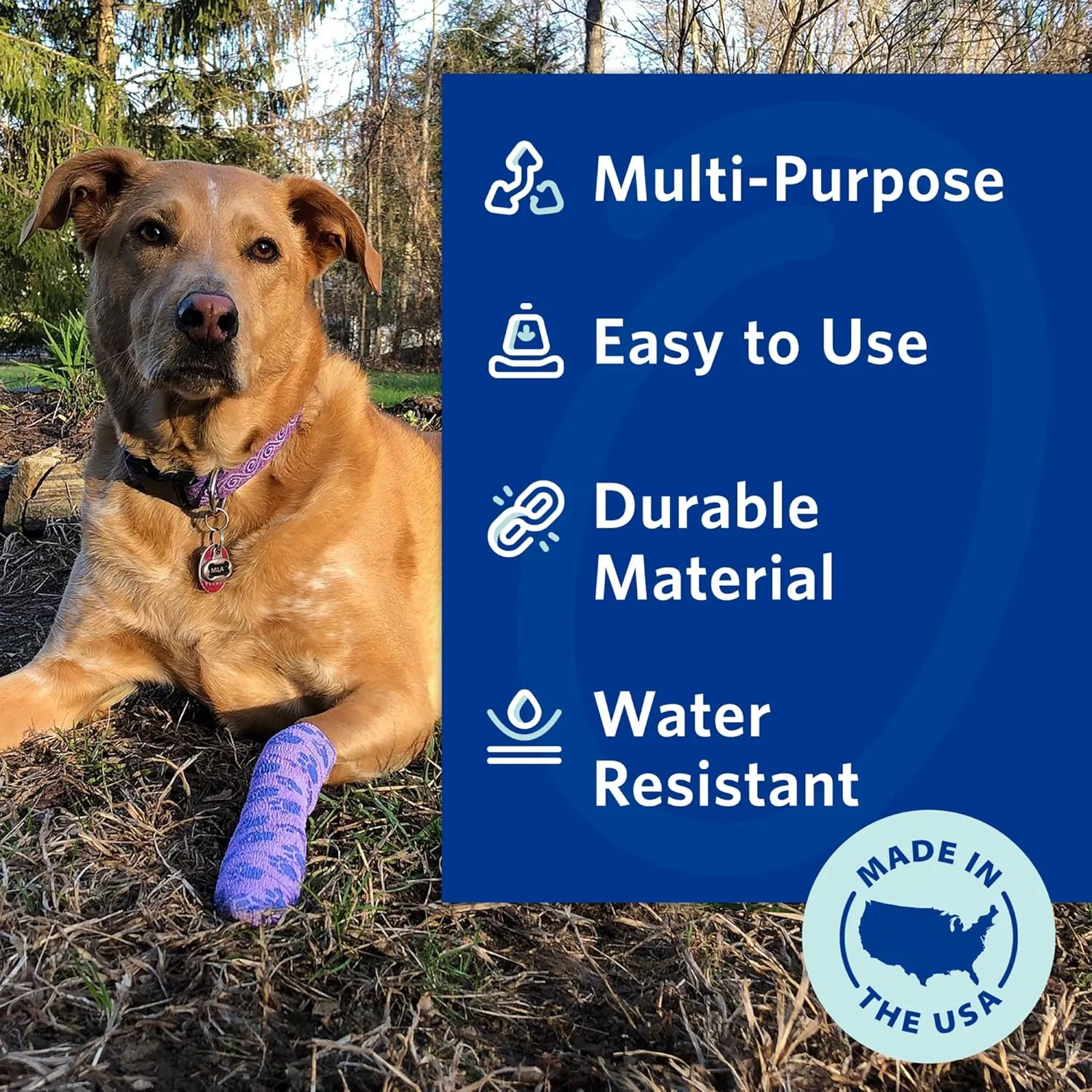 PetFlex Paw Pack  Flexible Self-Adhering Elastic Bandage for Wound Care  First Aid Wrap for Small Animals Like Dogs, Cats, and Other Pets - 2 inch, 2 Rolls