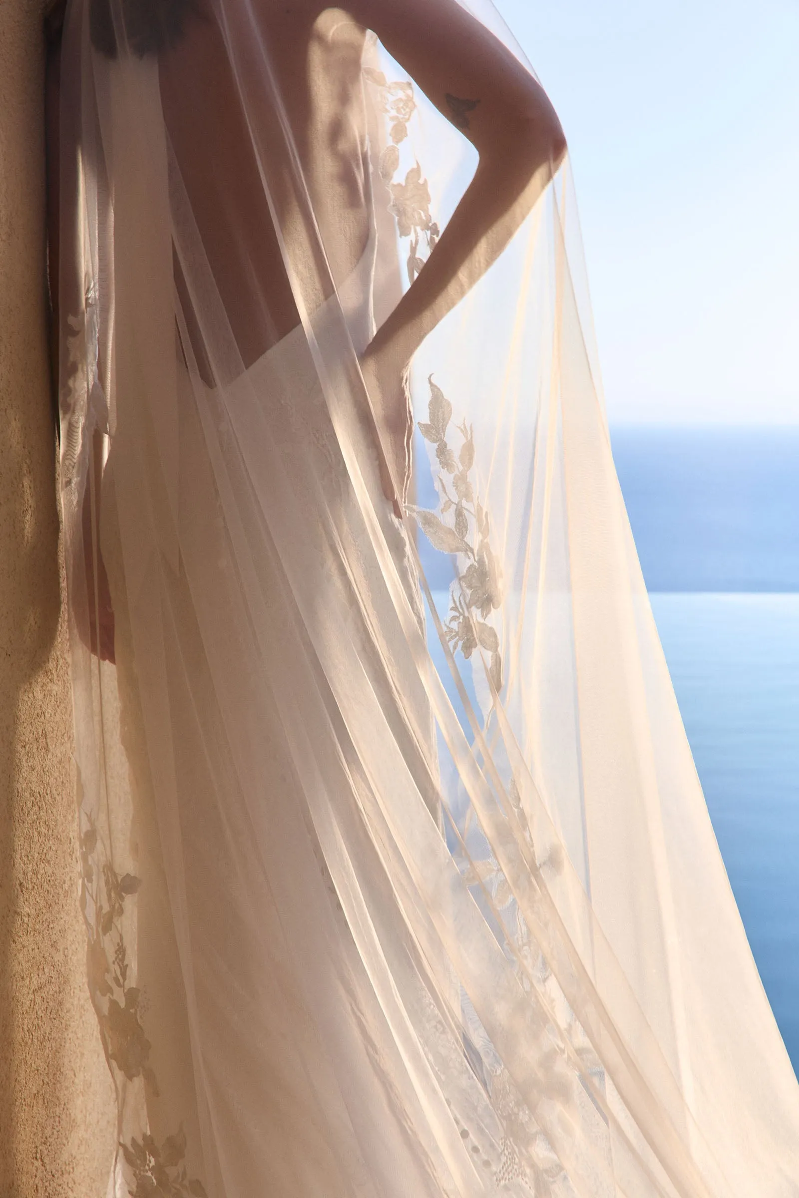 Stevie Veil
