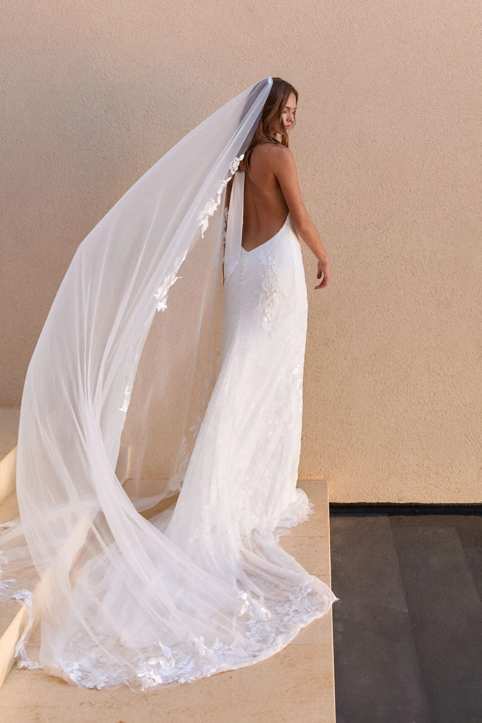 Stevie Veil