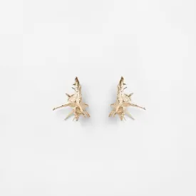 Tara Shell earrings